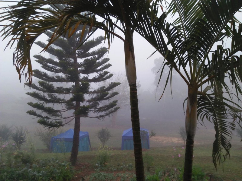 Mong Homestay Resort, Pang Ung, Thailand