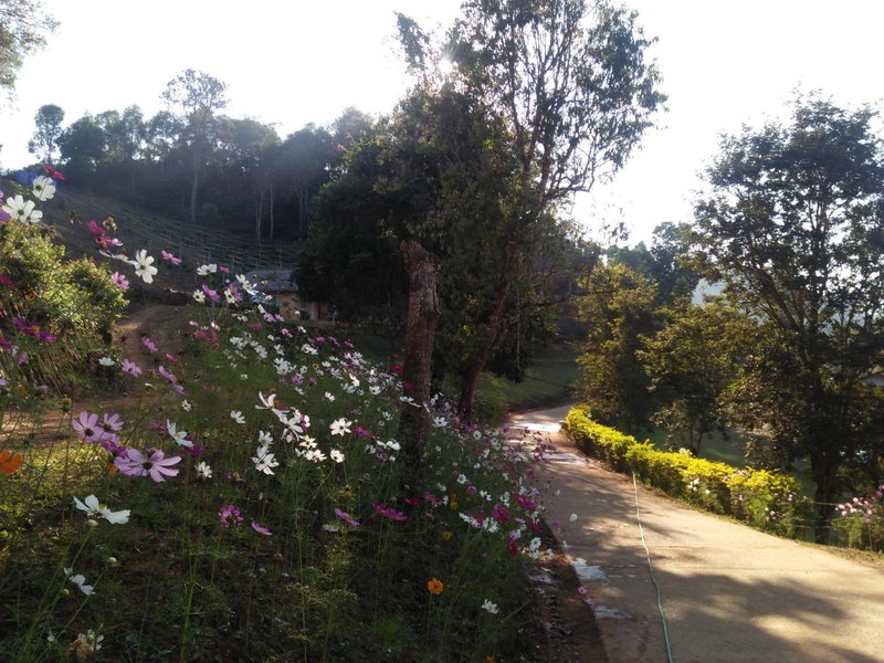 Mong Homestay Resort, Pang Ung, Thailand
