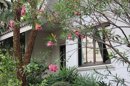 Chayada Garden House and Resort Hotel, Nakhon Ratchasima, Thailand