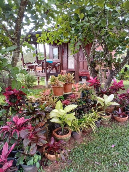 Phu Aram Khao Kho Resort, Khao Kho, Thailand