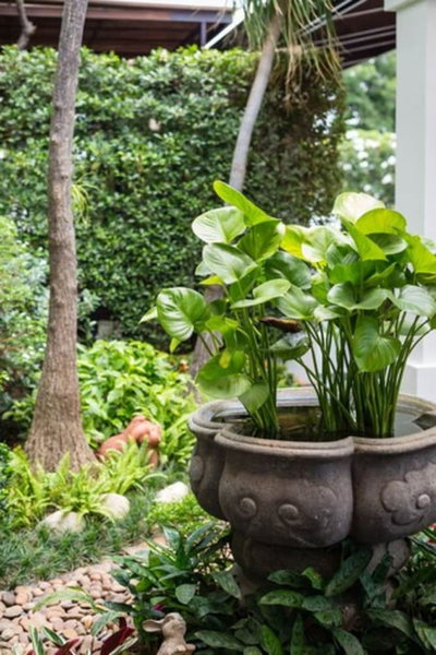 Asia Hotels Group - Poonpetch Chiangmai, Chiang Mai, Thailand