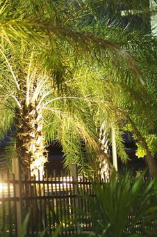 AP Grand Residence, Rayong, Thailand