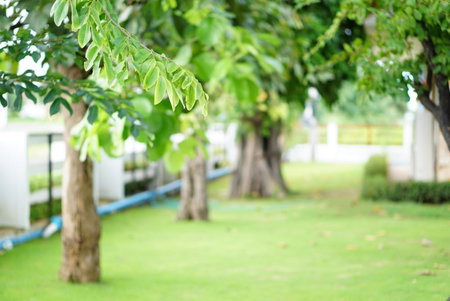 Ruentara Resort & Villa, Buriram, Thailand