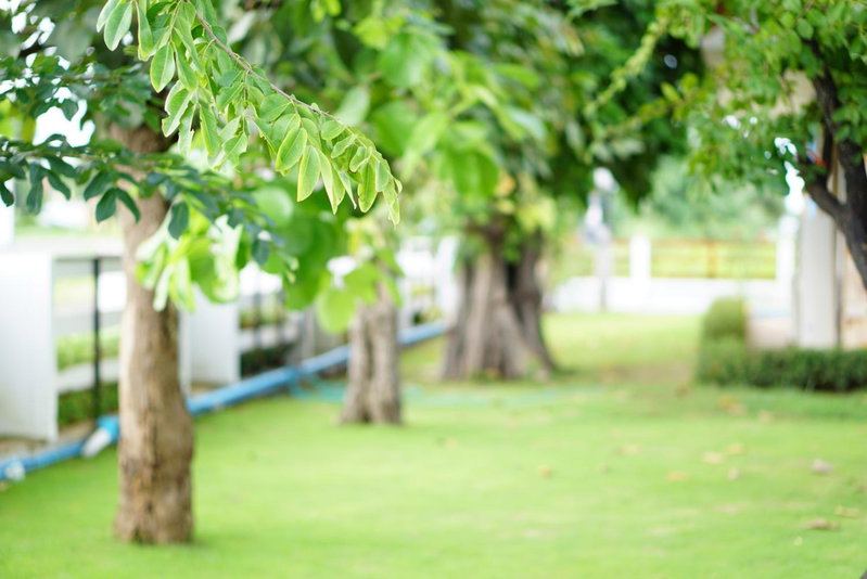 Ruentara Resort & Villa, Buriram, Thailand