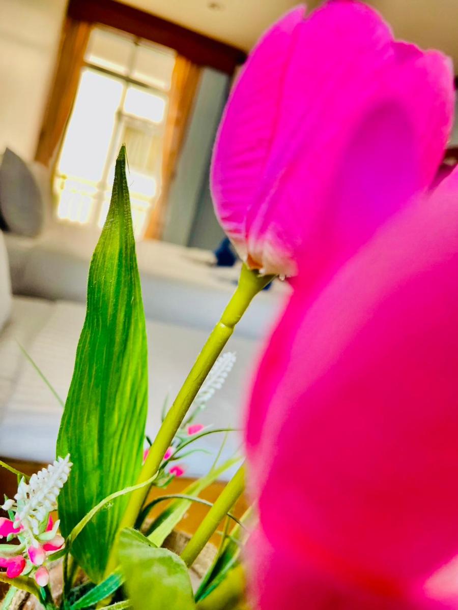 Hotel · Innarm House Patong, Patong Beach