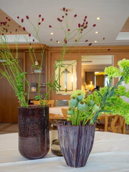 Hotel Kaiserhof, Medebach, Germany