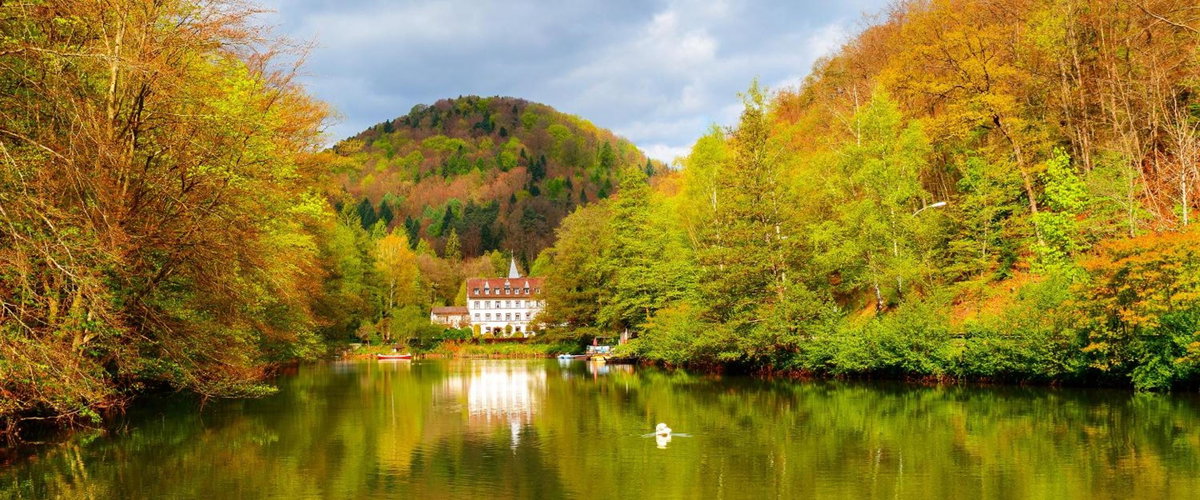 Hotel · Hotel Pfälzer Wald, Bad Bergzabern