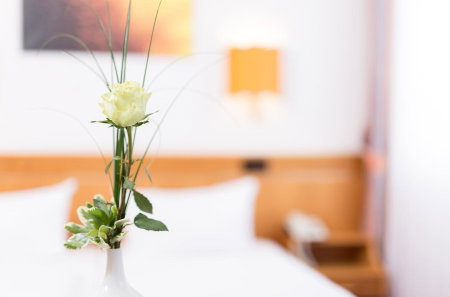 Hotel Pfälzer Wald, Bad Bergzabern, Germany