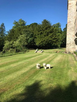 Branxholme Castle (Bed & Breakfast), Hawick, United Kingdom