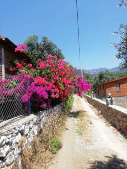 Bahar Bahce Datca, Datça, Turkey