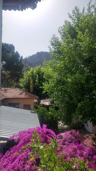 Nehir Dalyan Boutique Otel, Ortaca, Turkey