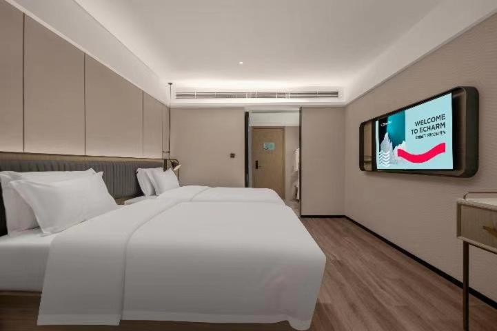 Echarm Hotel Changsha Electric Power Vocational and Technical College Hyde Park Branch, Xingsha, China