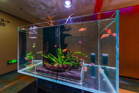 Chengdu Cosy Inn is 20 minutes away from Kuanzhai Alley and 30 minutes away from Shuangliu Airport, Chengdu, China