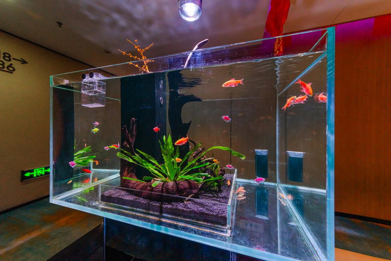 Chengdu Cosy Inn is 20 minutes away from Kuanzhai Alley and 30 minutes away from Shuangliu Airport, Chengdu, China