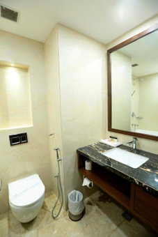 Hotel Meraden Grand, Varanasi, India