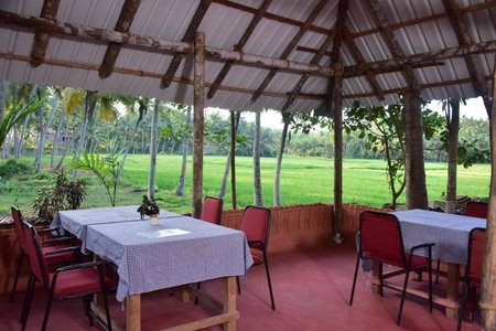 Doctors Ayurveda Heritage, Varkala, India