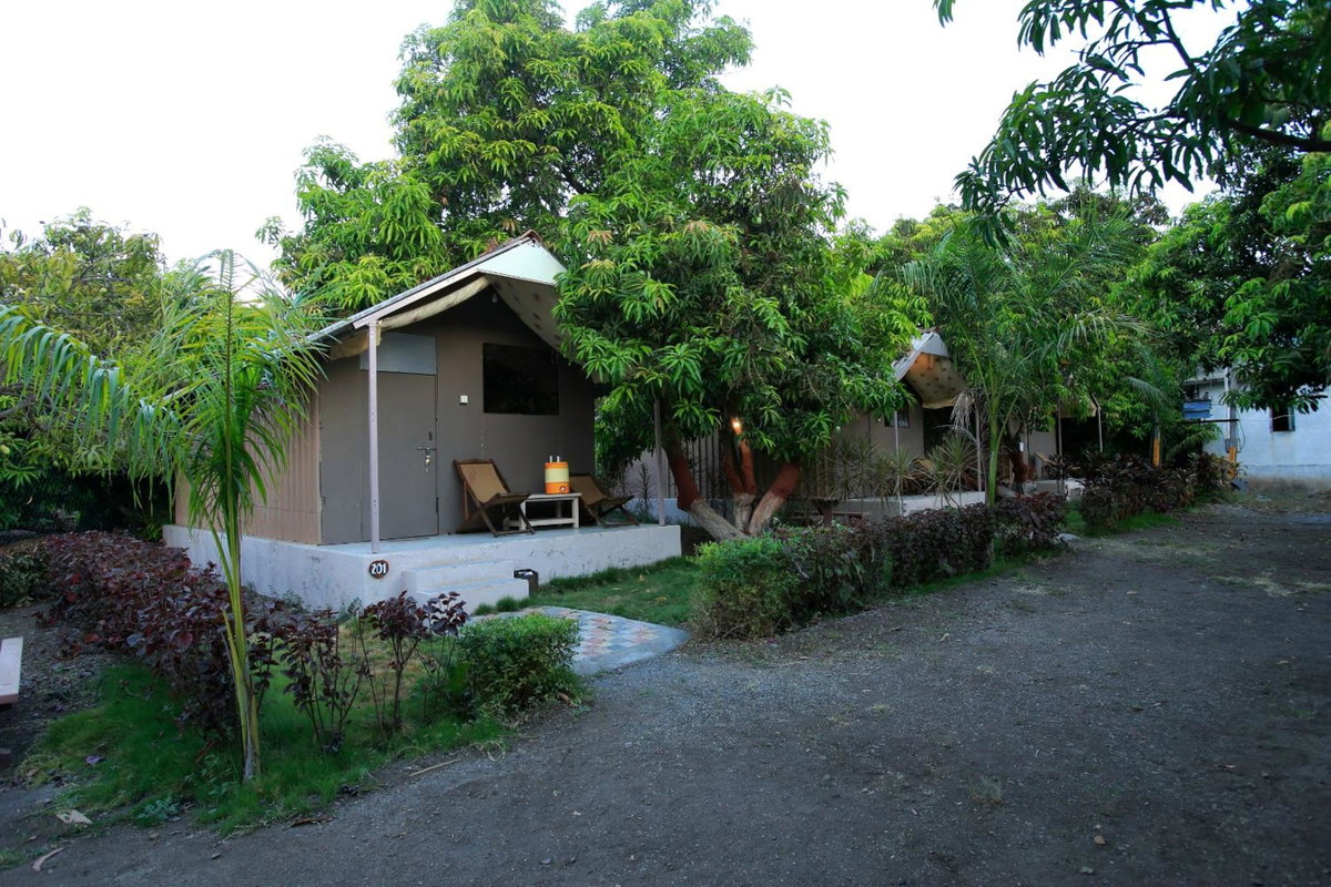 Hotel · Amber Resort, Sasan Gir