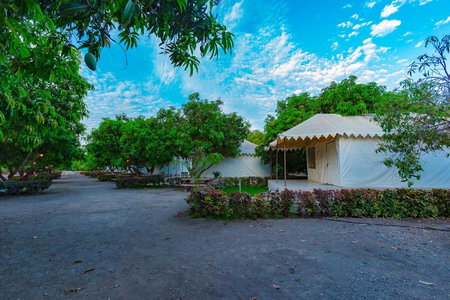 Amber Resort, Sasan Gir, India