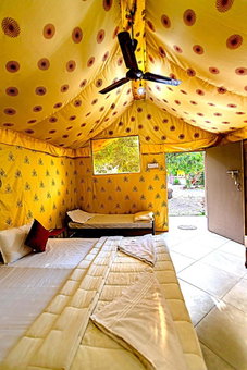 Amber Resort, Sasan Gir, India