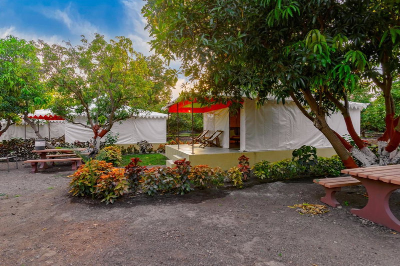 Amber Resort, Sasan Gir, India