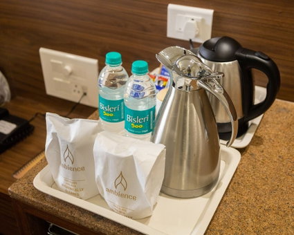 Hotel Ambience Excellency, Paud, India