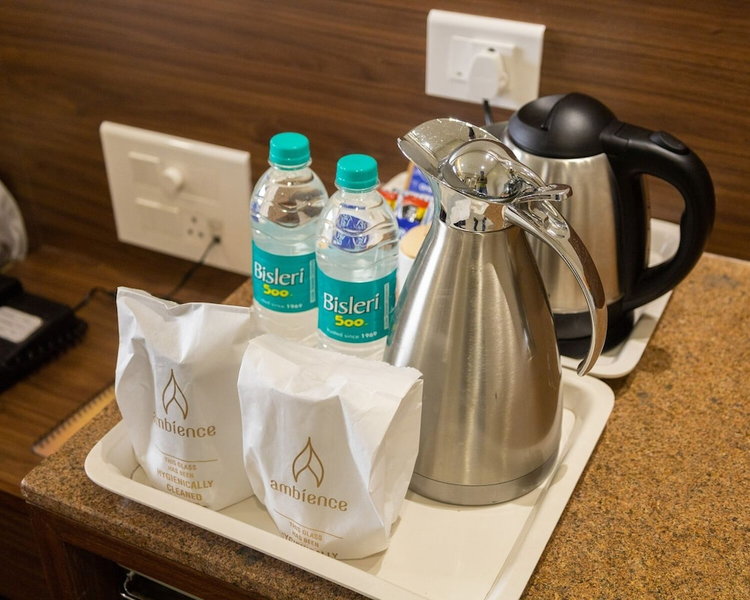 Hotel Ambience Excellency, Paud, India