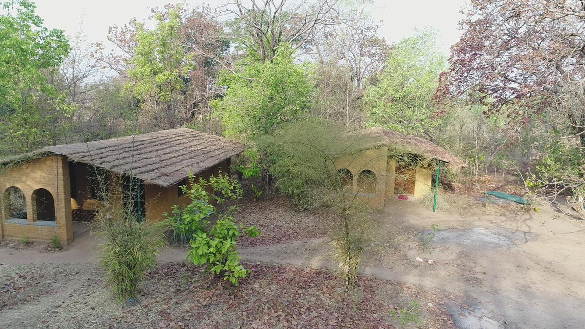 Kamp Kamouflage Kanha, India