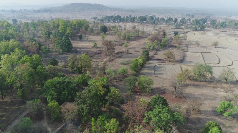 Kamp Kamouflage Kanha, Kānha, India
