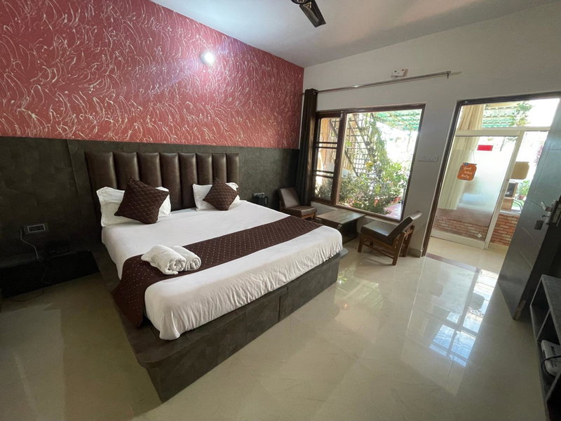 The Panda, Dharamshala, India