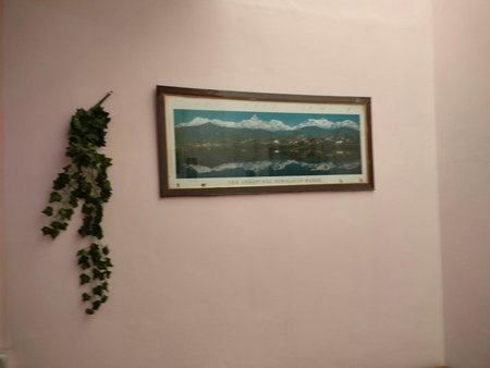 TSASKAN hotel, Leh, India