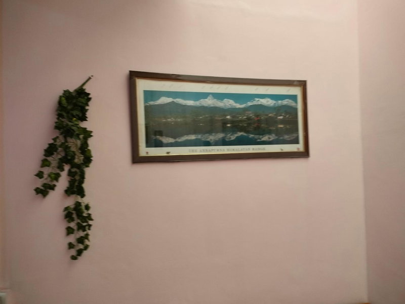 TSASKAN hotel, Leh, India