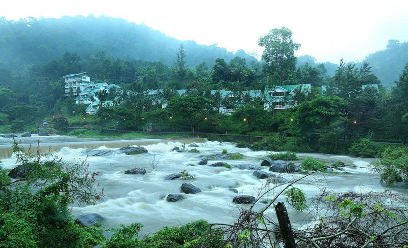 Rivulet, Devikolam, India