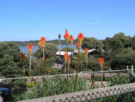 BIG4 Robe Lakeside Tourist Park, Robe, Australia