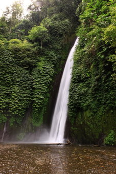 Guru Ratna Homestay, Munduk, Indonesia
