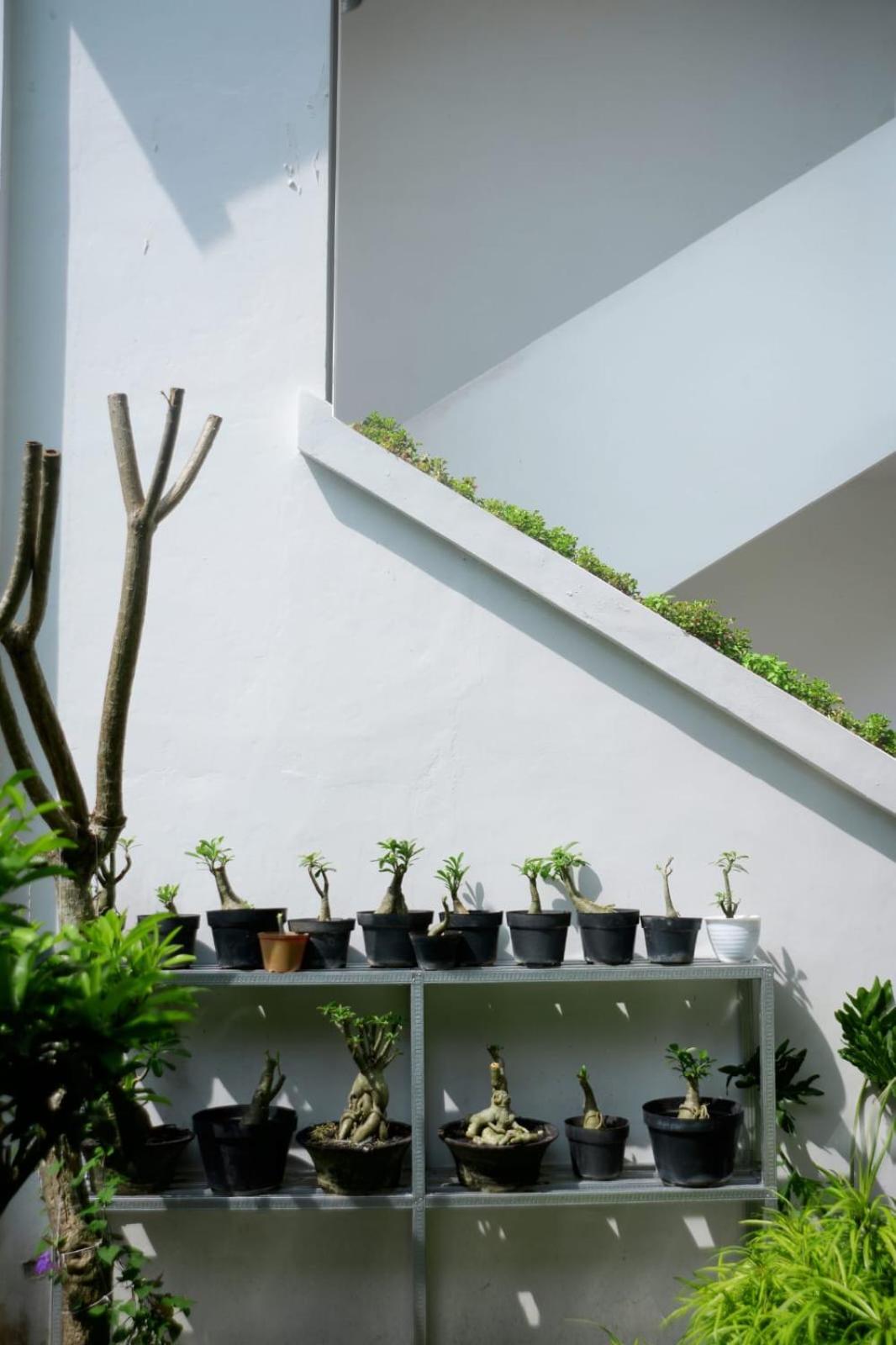 Hotel · Limasan514, Yogyakarta