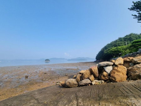 Seosan Pine Sea Pension, Seosan, South Korea