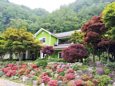 Yang Yang Sangol Yeohang Pension, Yangyang, South Korea