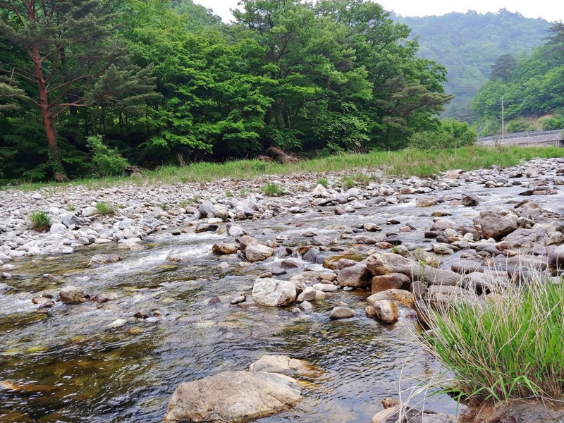 Yang Yang Sangol Yeohang Pension, Yangyang, South Korea