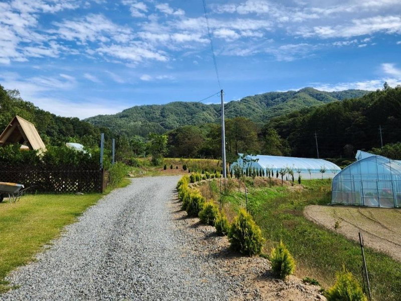 Hongcheon Private Bed and Breakfast Torang, Hongcheon, South Korea