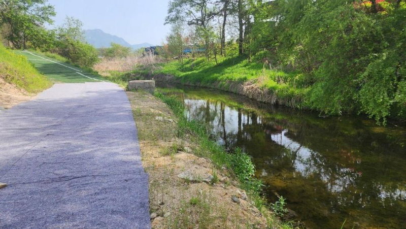 Pocheon Lodge Caravan Camping Site, Pocheon, South Korea
