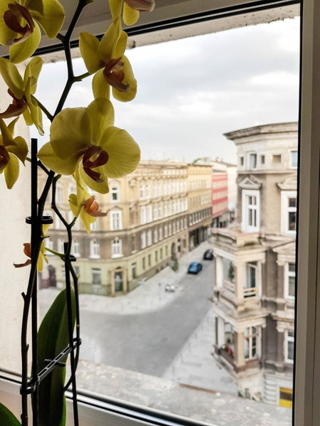 Luksusowe Apartamenty w Centrum Szczecina, Szczecin, Poland