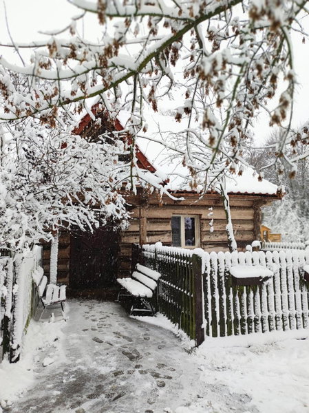 Gniazdo w Felicjanowie, Uniejow, Poland