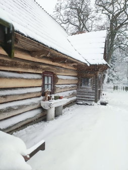 Gniazdo w Felicjanowie, Uniejow, Poland