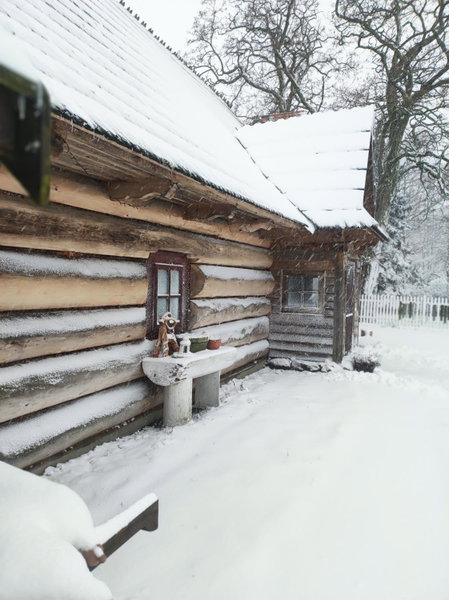 Gniazdo w Felicjanowie, Uniejow, Poland