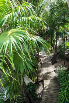Cormoran Boutique Hotel & Cenote Tulum, Tulum, Mexico