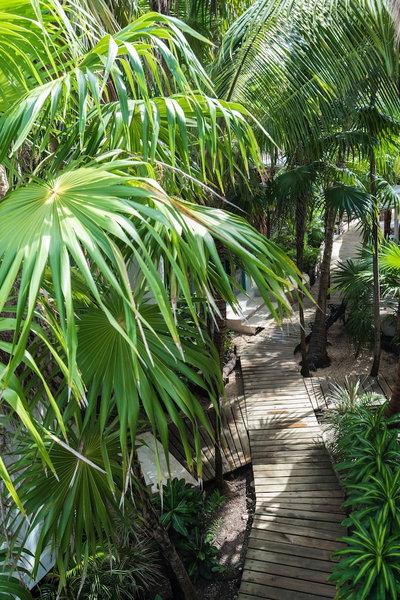 Cormoran Boutique Hotel & Cenote Tulum, Tulum, Mexico