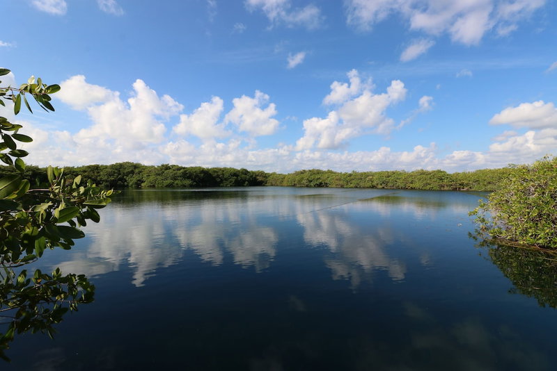 Cormoran Boutique Hotel & Cenote Tulum, Tulum, Mexico