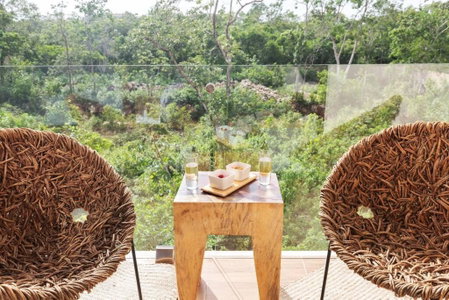Zaazil, Jungle View & Great Pool 100mb Fiber Wifi!, Tulum, Mexico