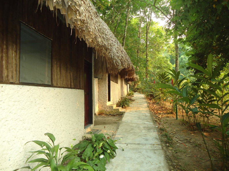 Hotel Cabañas Safari, Palenque, Mexico