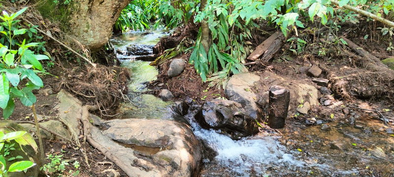 Encino House Hotel & Glamping Valle de Bravo, Valle de Bravo, Mexico